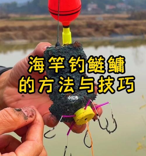深入水下的鲢鳙之道（探秘抛竿钓鲢鳙的水深技巧）  第3张