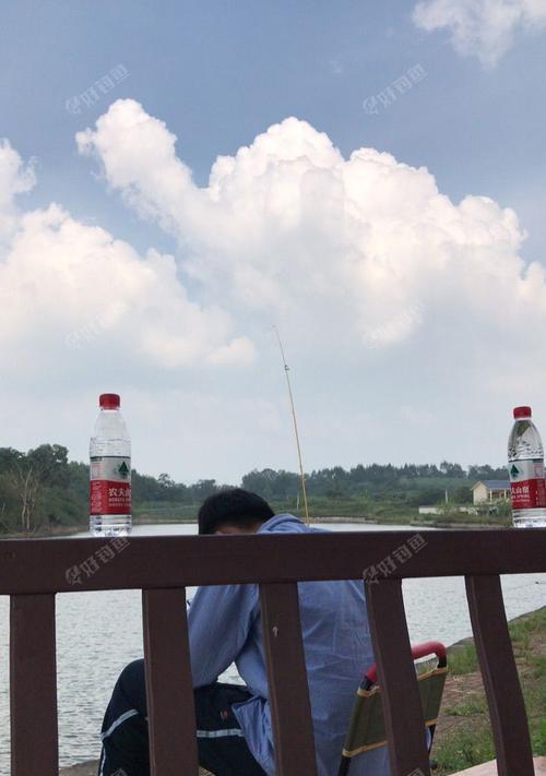 深水垂钓的技巧与窍门（钓友必知的抛竿钓深水秘籍）  第3张