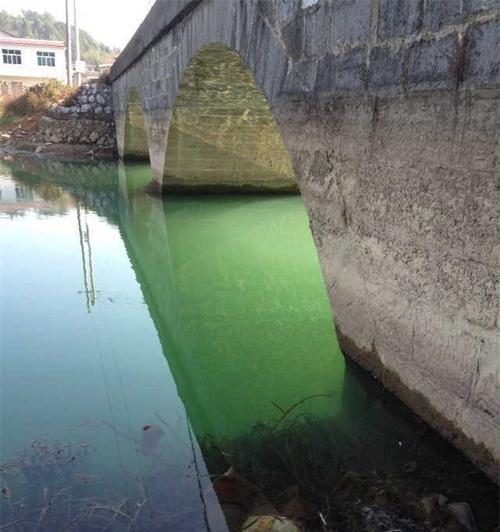 桥墩野钓鱼技巧（掌握关键点）  第3张