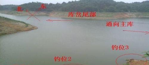 桥墩野钓鱼技巧（掌握关键点）  第1张