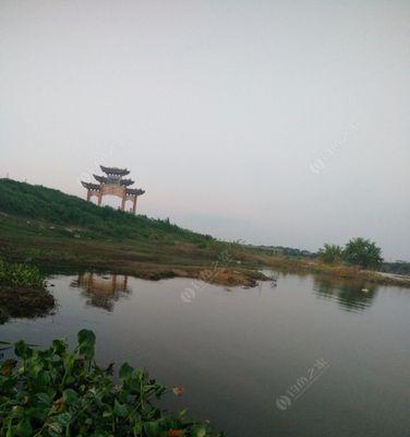 钓鱼技巧大揭秘（探寻青龙口水库的宝藏鱼群）  第3张