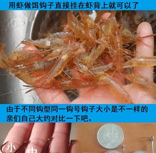 青蚯蚓串钩钓鱼的技巧（技巧）  第2张
