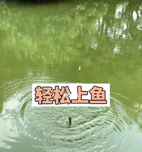 钓鱼技巧大揭秘（轻松掌握高效钓鱼的秘诀）  第1张