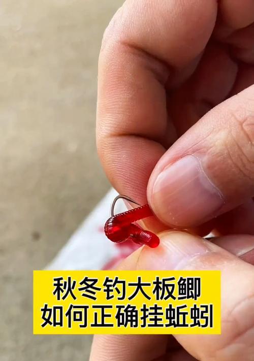 清澈海水钓鱼技巧（掌握技巧）  第3张