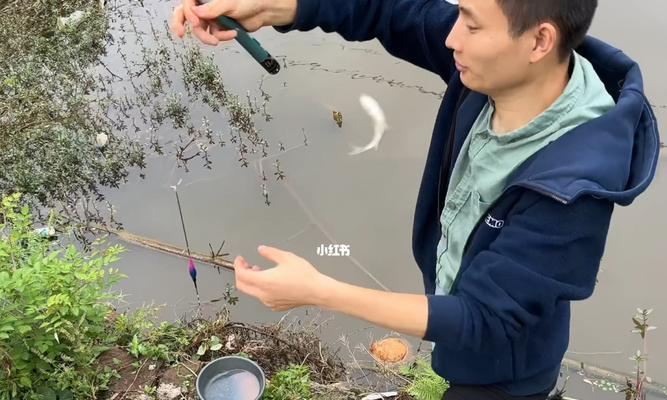 秋冬雨后钓鱼技巧（提高钓鱼成功率的实用指南）  第1张