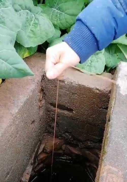 秋天用猪肝钓鱼的技巧（提高钓鱼成功率的秘诀）  第1张