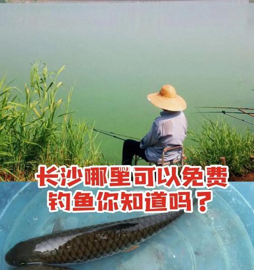 人工河流钓鱼技巧教学（掌握成功钓鱼的关键技巧）  第1张