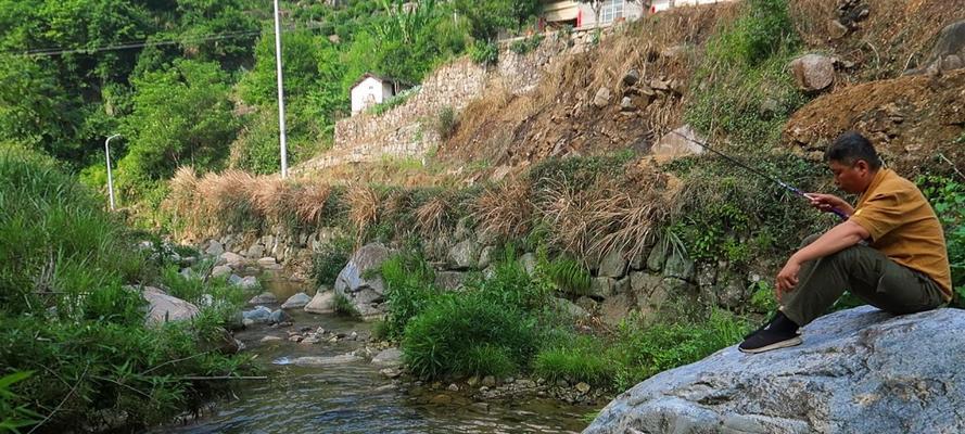 深山水潭钓鱼技巧（掌握这些技巧）  第1张