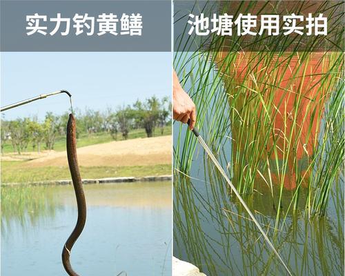 水库黄鳝钓鱼技巧（掌握黄鳝钓鱼的关键技巧）  第1张