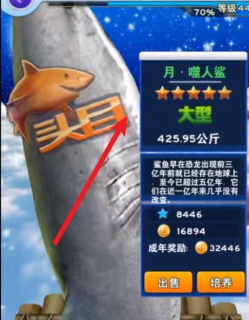 天空之城钓鱼技巧（掌握天空之城钓鱼的技巧）  第1张