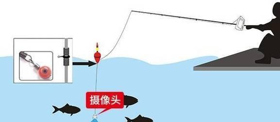 通海河钓鱼技巧教学（掌握技巧）  第1张