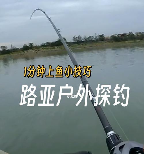夏季晚上钓鱼的技巧与方法  第1张