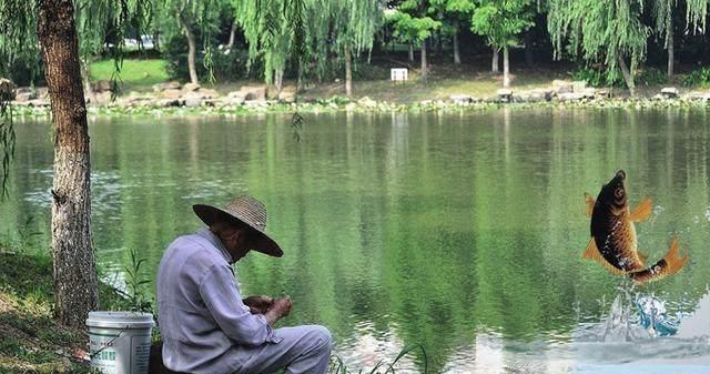 乌龟山水库钓鱼技巧与方法（乌龟山水库钓鱼技巧分享）  第1张