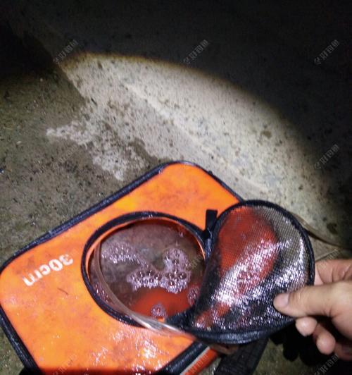 夏夜钓鲢鳙技巧（享受夏季渔乐的秘诀）  第1张