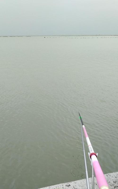 夏季阴天野钓鱼技巧与方法（享受阴天下的丰收与乐趣）  第1张