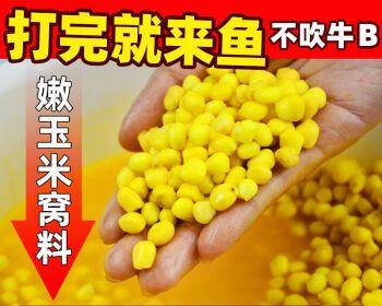 夏季嫩玉米钓鱼技巧大揭秘（钓鱼宝典）  第1张