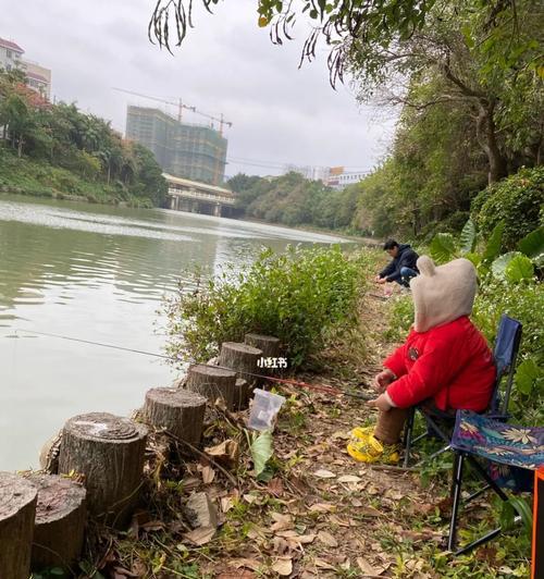 小桥底下钓鱼技巧（掌握正确的技巧）  第1张