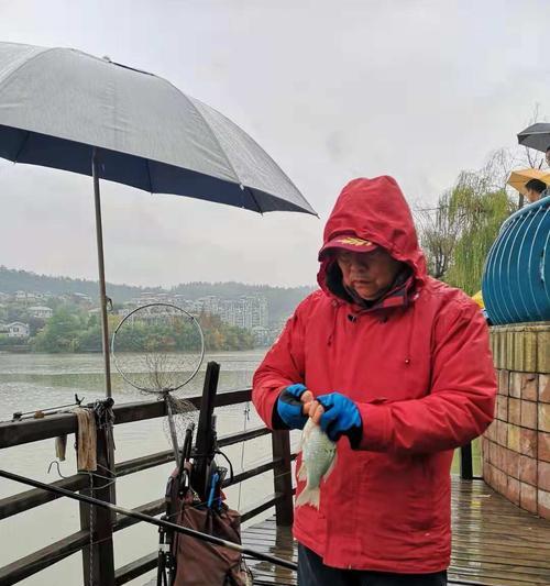 小区湖钓鱼技巧与方法（探秘小区湖里的丰富渔获）  第1张