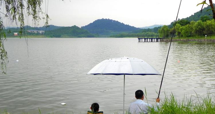 小区里河道钓鱼技巧（享受钓鱼乐趣的小窍门）  第1张