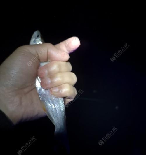 小雪钓鱼技巧大揭秘（掌握关键技巧）  第1张