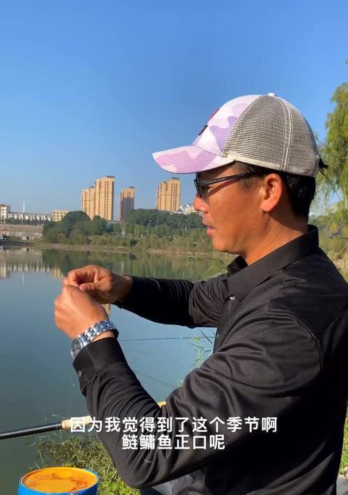 小鸭子假饵钓鱼技巧（探寻小鸭子假饵的魅力和使用技巧）  第1张