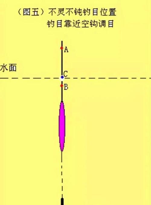 野钓带钩调漂小技巧（钓鱼新手也能轻松掌握的秘籍）  第1张