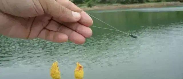 冬季红虫拉饵野钓调漂技巧教程（掌握红虫拉饵技巧）  第1张