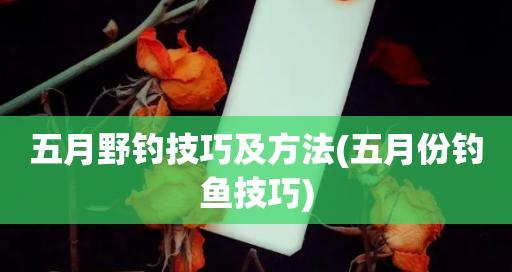 以野钓换新漂的技巧（轻松获得新漂）  第1张