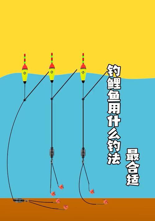 野外钓鲤鱼的正确方法和技巧（轻松掌握）  第1张