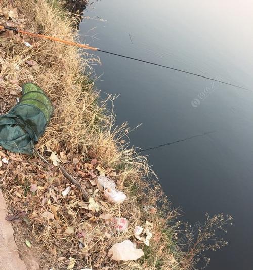 河流钓鱼选位技巧大揭秘（享受野外钓鱼乐趣选择合适位子至关重要）  第1张