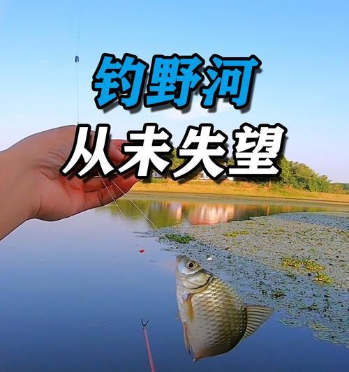 寻找理想的钓鱼点——野外小河钓鱼位置选择技巧（技巧）  第1张