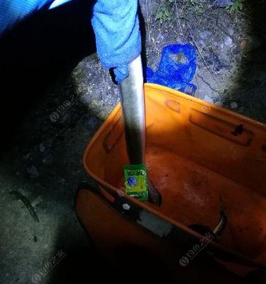 夜晚钓鳗鱼的方法技巧（技巧）  第3张