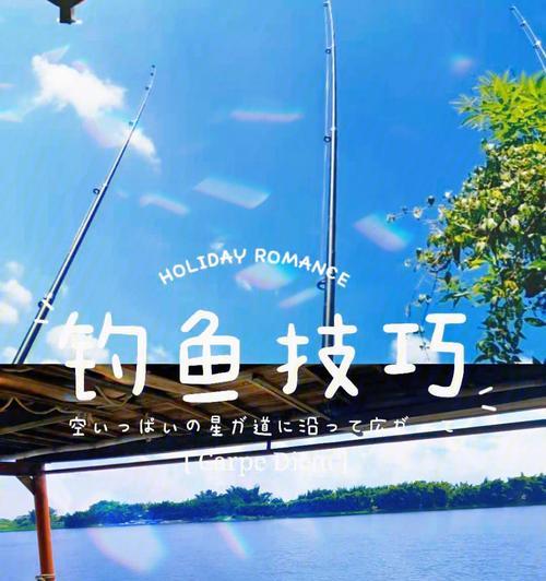 夜晚落水钓鱼技巧大揭秘（深入探索夜晚落水钓鱼的诀窍与技巧）  第1张