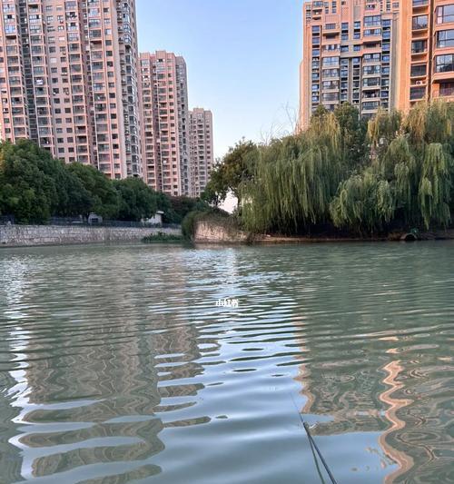 家岭大桥钓鱼技巧（技巧丰富）  第1张