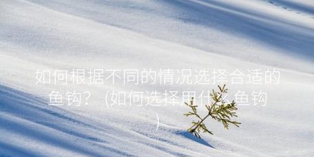 鱼钩选择之道（探秘以鱼钩大小的选择方法与技巧）  第1张