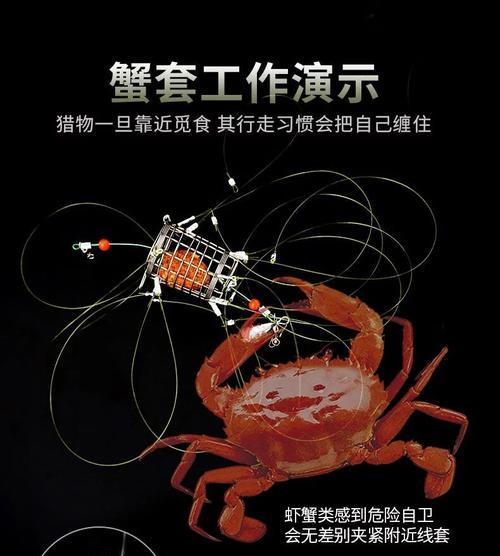 钓螃蟹技巧大揭秘（以空鱼钩钓螃蟹）  第1张