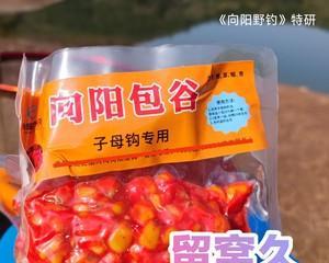鱼钩挂玉米钓鱼技巧（提高钓鱼成功率的黄金秘籍）  第3张
