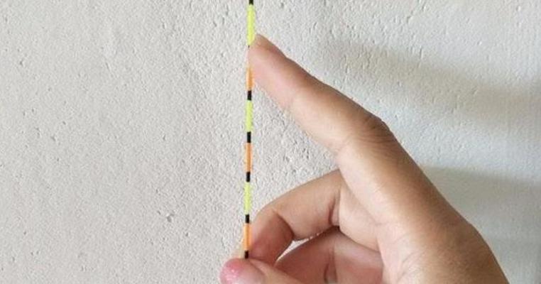 提升钓鱼技巧——以鱼漂调漂为主题的教学（技巧）  第2张