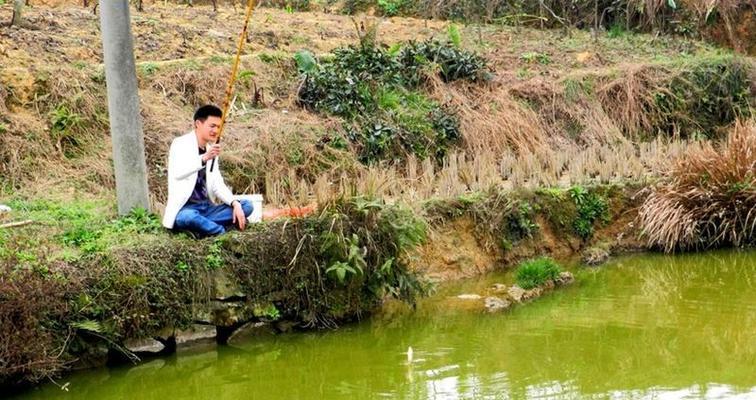 钓鱼技巧大揭秘（五种选坑技巧轻松提升垂钓成功率）  第1张