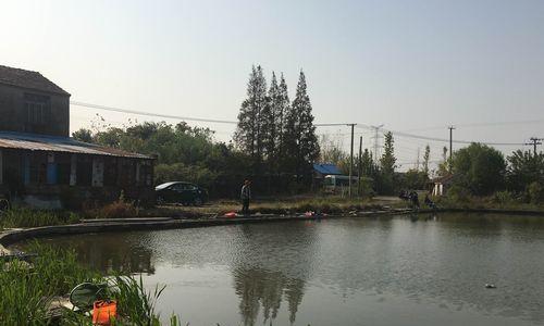 钓鱼技巧和方法大全（以鱼塘钓竿钓鱼）  第1张