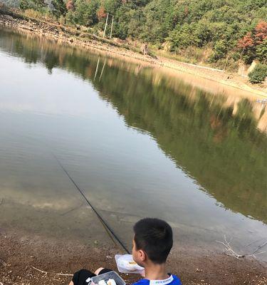 钓鱼技巧经验总结——钓鱼达人分享的秘诀（掌握鱼塘钓鱼的窍门）  第1张