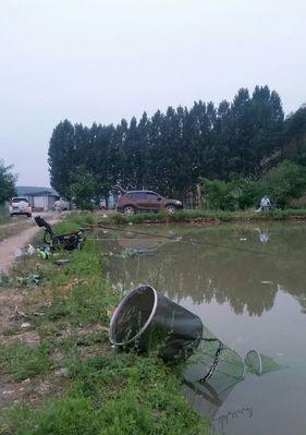 钓鱼技巧（解决鱼塘漏水）  第1张