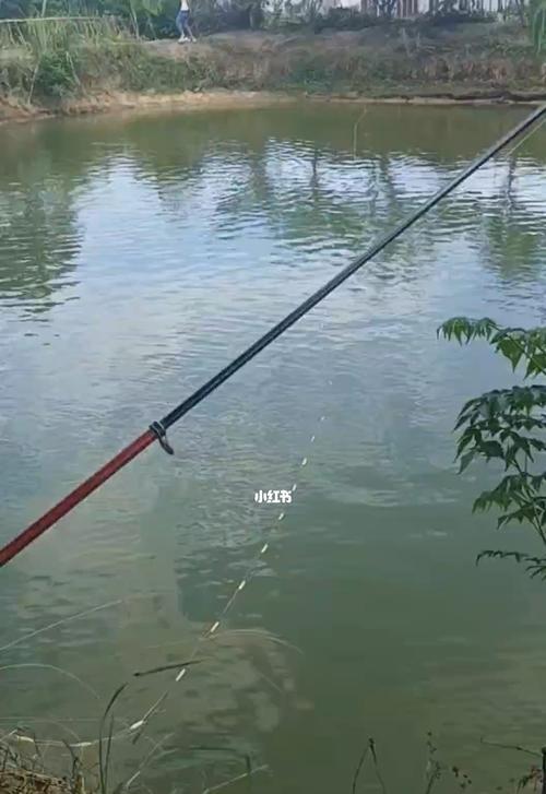 钓鱼技巧（解决鱼塘漏水）  第2张