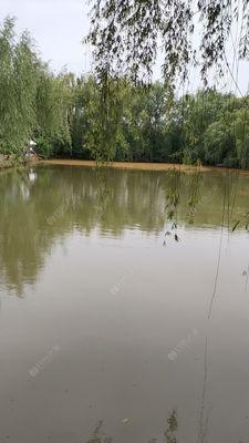 钓鱼技巧（解决鱼塘漏水）  第3张