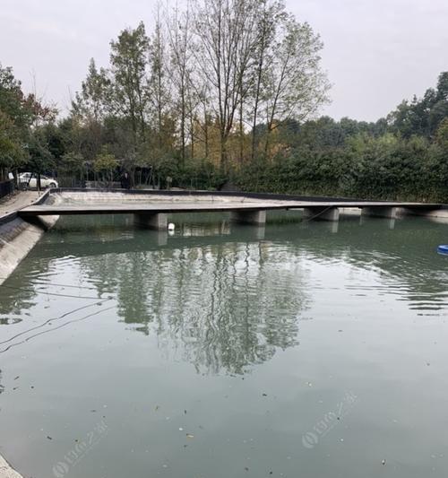 鱼塘农家院钓鱼技巧（掌握技巧）  第1张