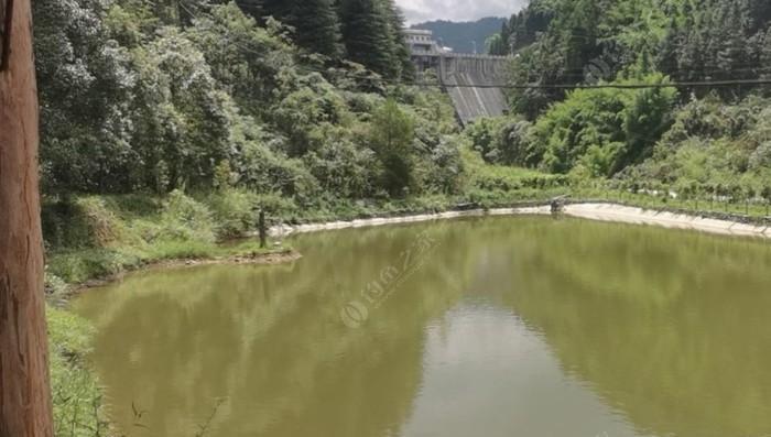 鱼塘农家院钓鱼技巧（掌握技巧）  第3张