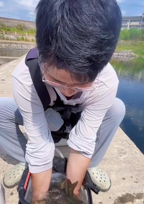 钓鱼达人教你玩转石斑鱼（以鱼塘石斑钓鱼技巧为主题的实用指南）  第1张