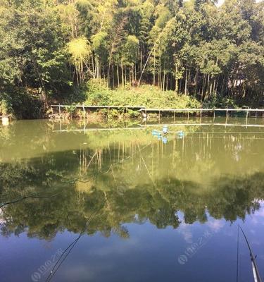 鱼塘石头钓鱼的技巧与方法（钓鱼技巧分享）  第2张