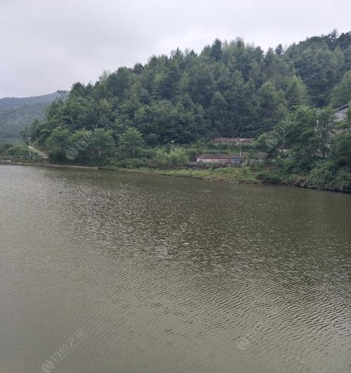 水深三十公分的鱼塘钓鱼技巧（掌握好鱼的喜好）  第2张