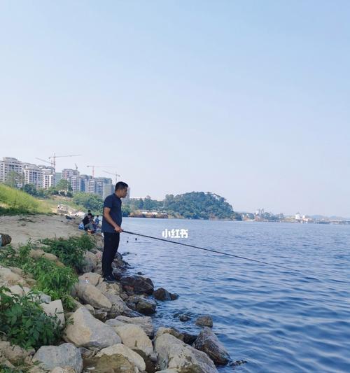 钓鱼技巧大全（学习钓鱼技巧的方法与技巧）  第3张